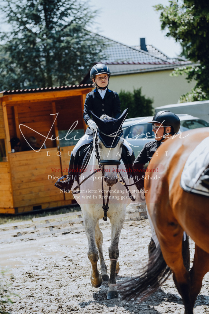 DSC_2262 | Pferde- und Turnierfotografie in Westsachsen. Pferdeportraits, Auftragszeichnungen und intuitive Kunst.