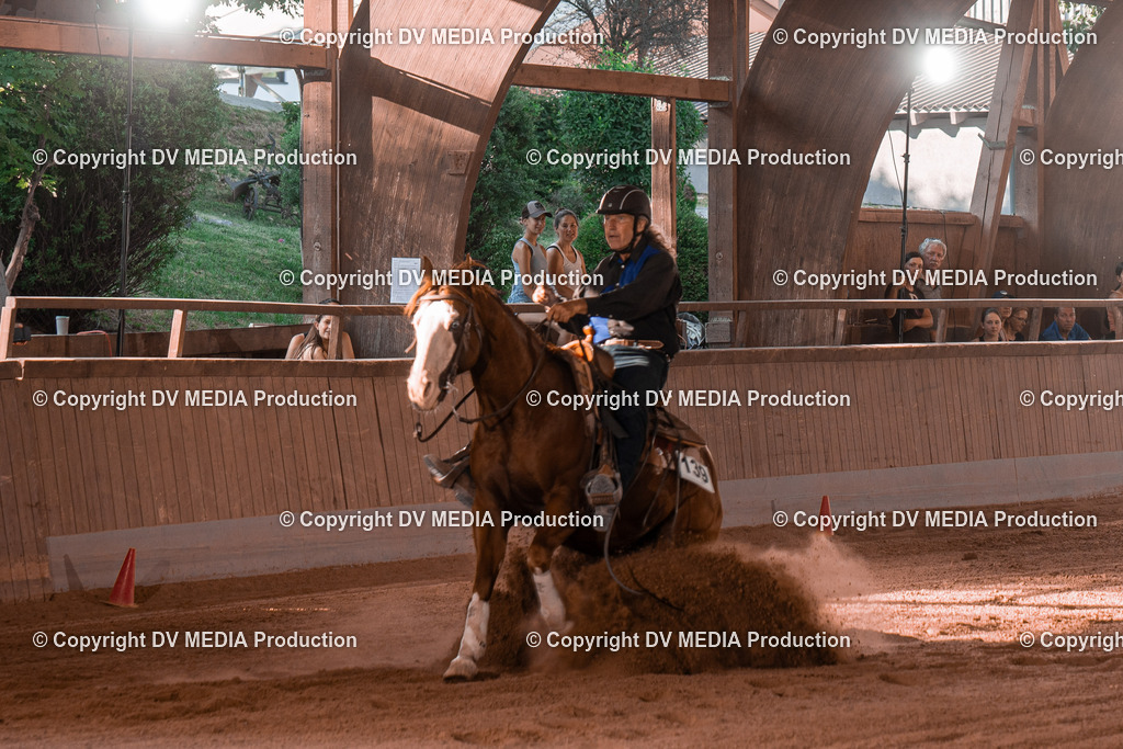 NE201343 | dv-media-shop - Realisiert mit Pictrs.com