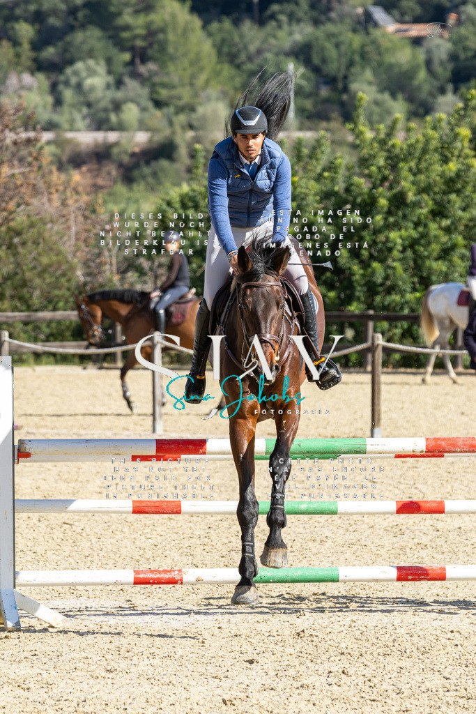 IMG_4260 | s-jay-photography - Realisiert mit Pictrs.com