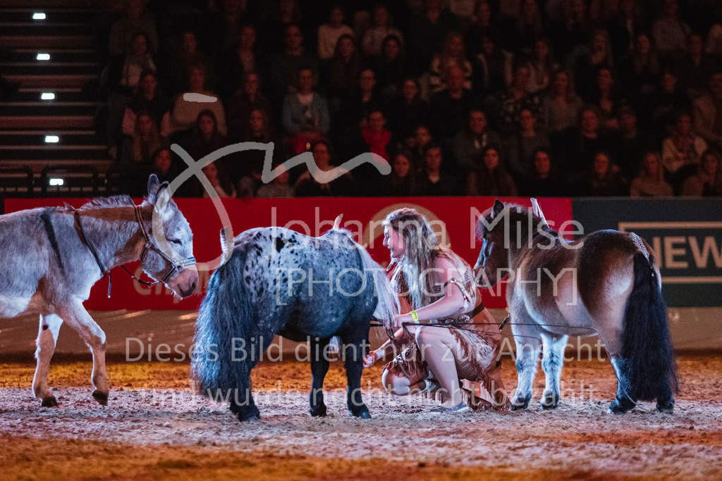241102_Oldenburg_Show-325 | Deine schönsten Turniermomente als professionelle Fotos! Entdecke hochwertige Pferdesport-Fotografie im Online-Shop. Jetzt Fotos finden & bestellen!