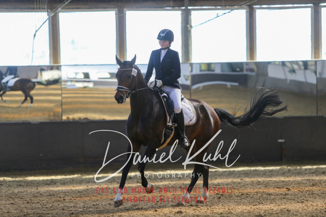IMG_2912 | Turniersportfotografie; Pferdefotografie; Dressurfotografie