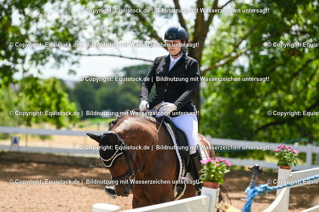 20230716_03_Dressurprfg. Kl.L - Tr._0127 | equistock