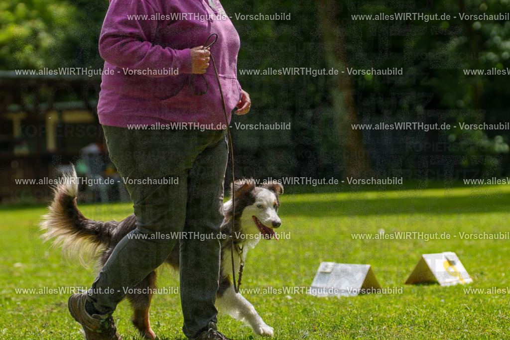 @allesWIRTHgut_Tierfotografie - www.allesWIRTHgut.de - 7R504891 | Professionelle Tierfotografie in Mönchengladbach von Daniel Wirth (allesWIRTHgut). Liebevolle & natürliche Bilder von Hunden & Katzen für unvergessliche Erinnerungen.