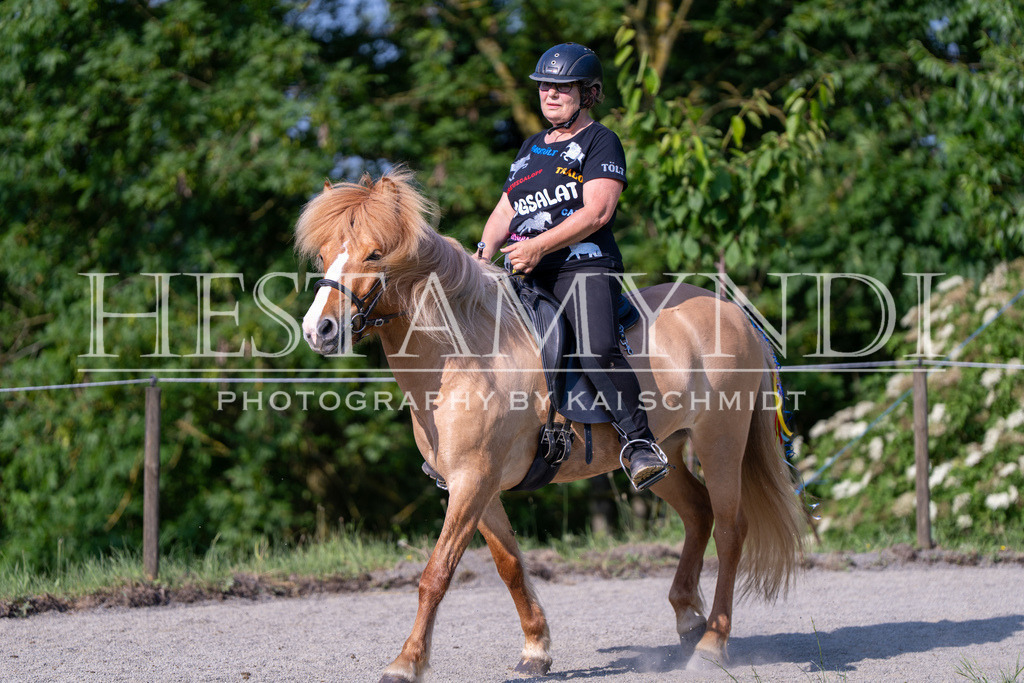 KAI07190 | Ihr sucht einen Fotografen für eure nächste OSI? Ich begleite auch euer Turnier für Islandpferde fotografisch.  - Realisiert mit Pictrs.com