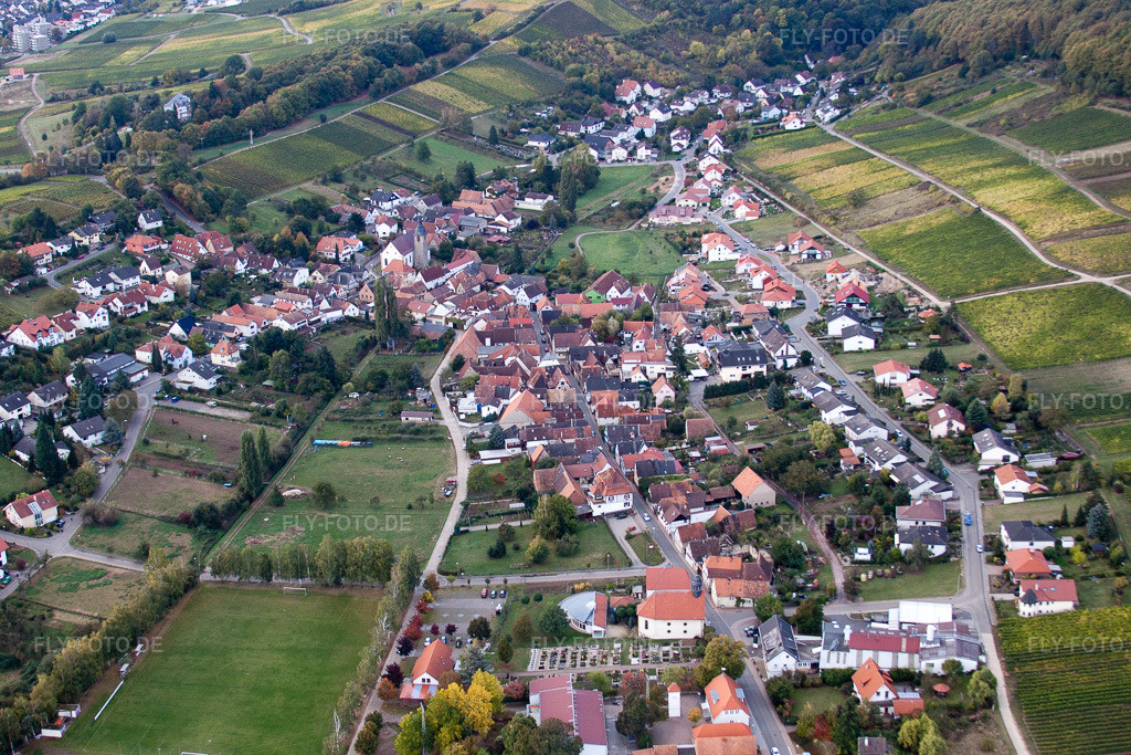 Luftbild: Ortsansicht von Nordosten im Ortsteil Pleisweiler in Pleisweiler-Oberhofen im Bundesland Rheinland-Pfalz in Deutschland. Foto: IMG_22413.jpg vom 15.10.2009 durch Werner Riehm/FLY-FOTO.de