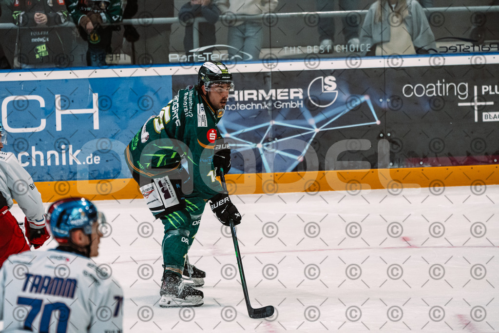 Alligators_vs_Selb_13_09_2026-26 | Die Fotogalerie von Daddel: professionelle Bilder von Sport, Events und Unternehmen aus Franken. Jetzt Galerien durchstöbern und Lieblingsfotos bestellen. - Realisiert mit Pictrs.com