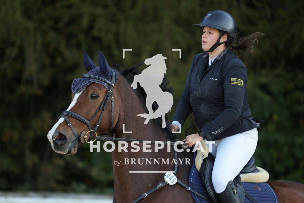 0P6A1973 | Willkommen bei Brunnmayr - Design & Fotografie – Ihrem Spezialisten für Reitturniere und Pferdeveranstaltungen in Oberösterreich, Salzburg und Bayern! Seit über 17 Jahren sind wir leidenschaftlich dabei.