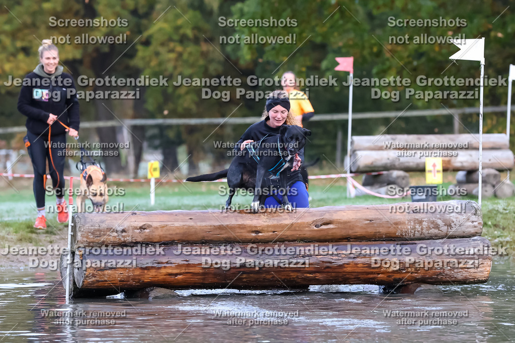 Dog Paparazzi - Strongdog 10-25-6297 | Dog Paparazzi Jeanette Grottendiek Fotografie & Videografie - Realisiert mit Pictrs.com