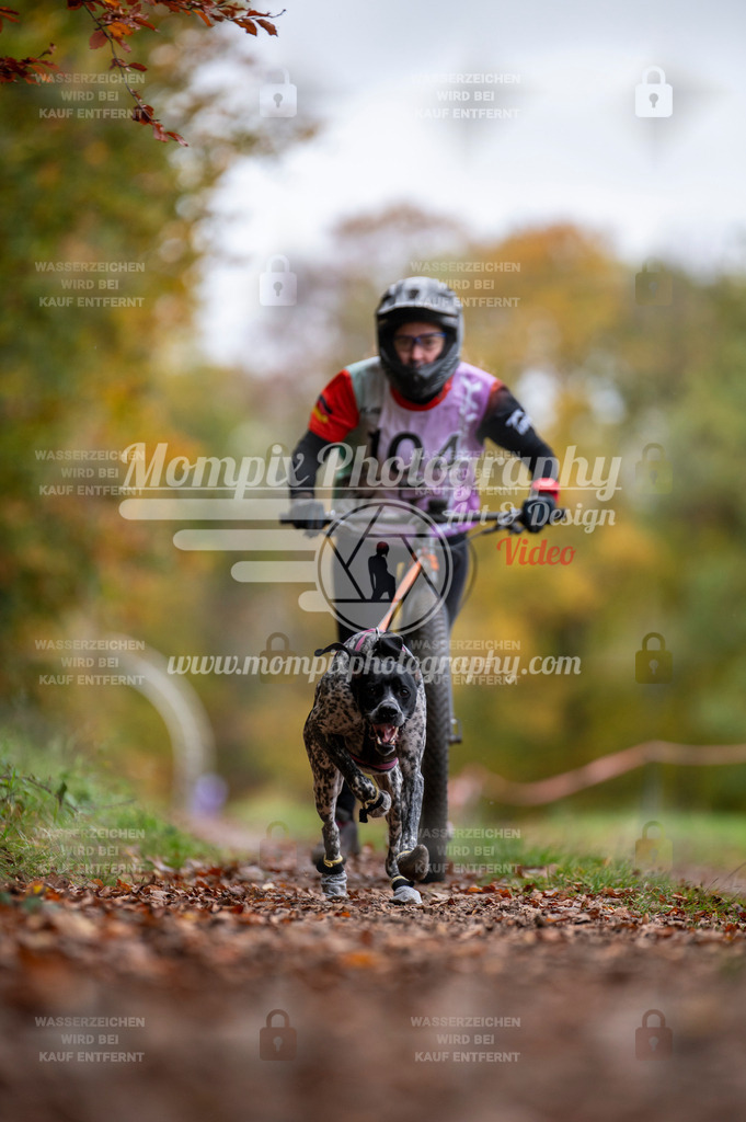 DBT_DAKM_SA_4_11_2023_DS1-34 | mompixphotography