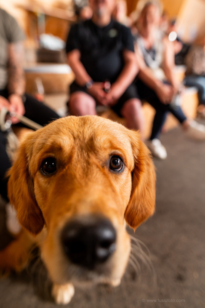 DSC_7750 | "Fussifoto.com – Ihr Ansprechpartner für hochwertige Fotografie! Entdecken Sie kreative Bilder und professionelle Dienstleistungen. Kontaktieren Sie uns für Ihre Projekte!"