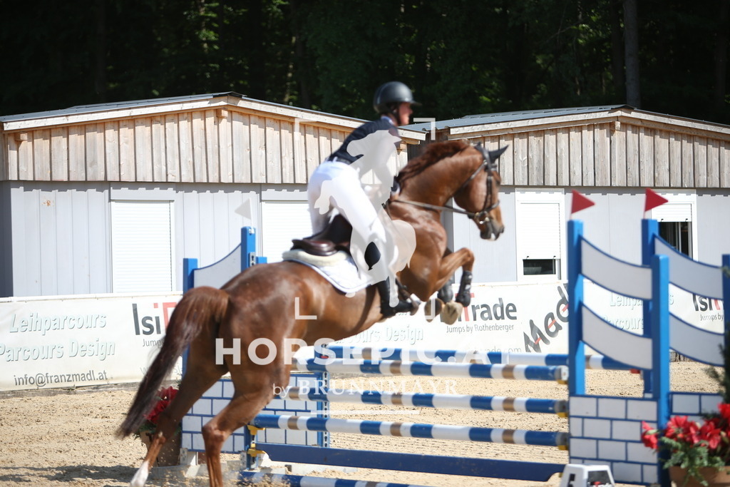 PP015957 | Willkommen bei Brunnmayr - Design & Fotografie – Ihrem Spezialisten für Reitturniere und Pferdeveranstaltungen in Oberösterreich, Salzburg und Bayern! Seit über 17 Jahren sind wir leidenschaftlich dabei.