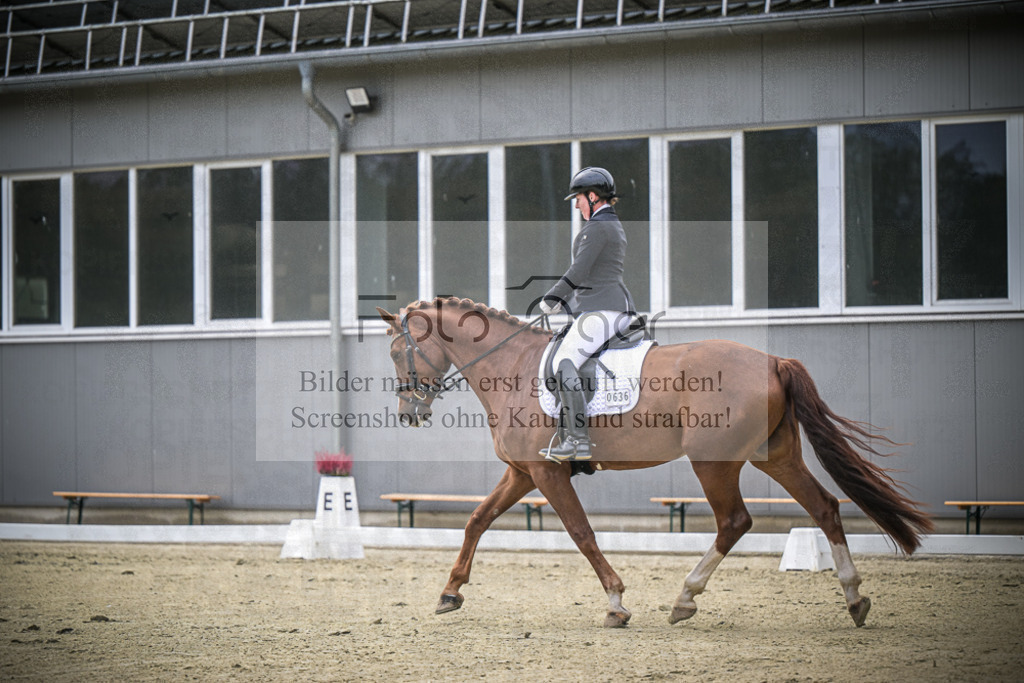 DOS_0787 | Entdecke hochwertige Reitturnierfotos von Foto Oger. Professionell, emotional und authentisch – jetzt Lieblingsmomente im Shop bestellen.Deutschlandweite Turnierfotografie. - Realisiert mit Pictrs.com