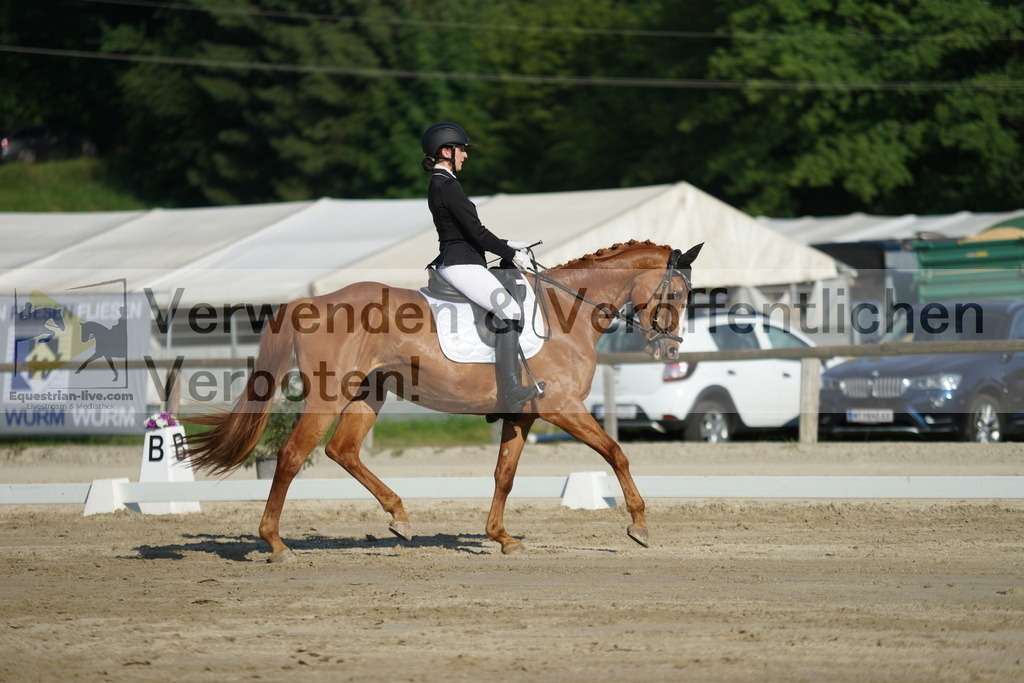 DSC04175 | equestrian-live-com