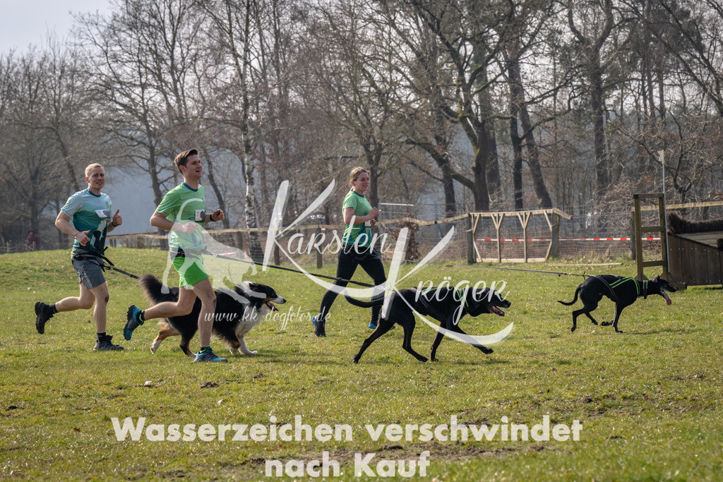 _ZZ94990 | kk-dogfotos