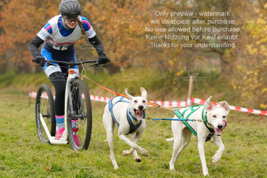 AusschnitteSa-173 | stephaniefillaphotographie - Realisiert mit Pictrs.com