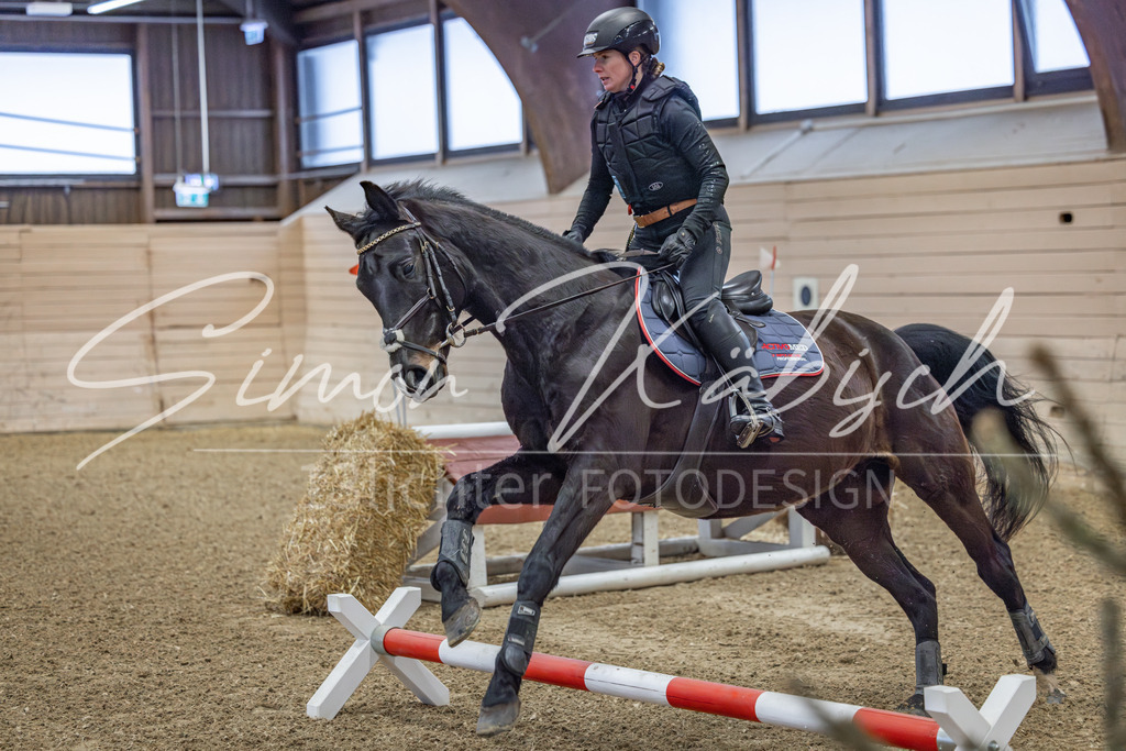 20260221-_3LI8270 | Tierfotografie Pferde, Hunde, Katzen, Haustiere.
Turnierfotografie Reitturniere, Reiten, Springreiten, Dressur in Hanau, dem Main-Kinzig-Kreis und dem Rhein-Main- Gebiet um Frankfurt