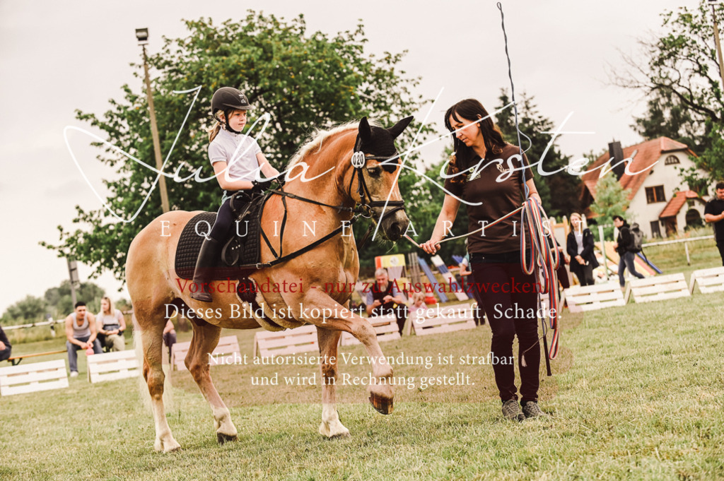 DSC_5269 | Pferde- und Turnierfotografie in Westsachsen. Pferdeportraits, Auftragszeichnungen und intuitive Kunst.