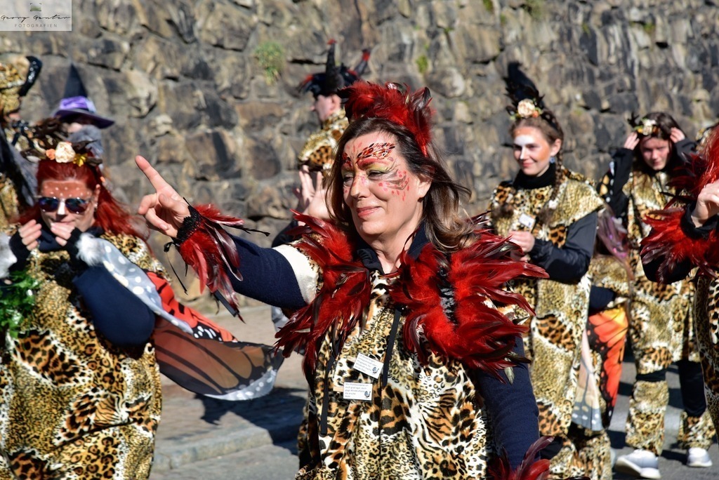 FaMoUmzug-016-RA | Fotoblog Schwarzwald, Foto Blog Wiesental, Pfaffenberg, Winterzauber, Zeller Bergland, Zell im Wiesental, Fotoblog Wiesental, Landschaftsfotos, Bilder Wiesental, Natur, Naturbilder, Fastnacht, Zeller Fastnacht, Zeller Fasnacht, Zeller Bergland, Belchen, - Realisiert mit Pictrs.com