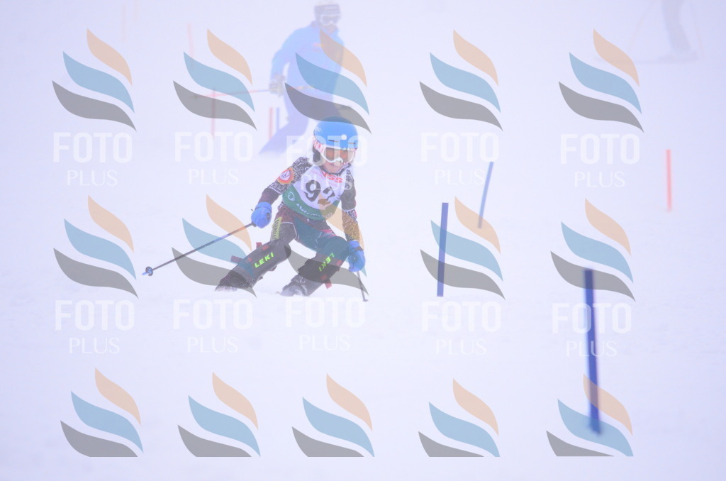 A4391 | holidayphoto