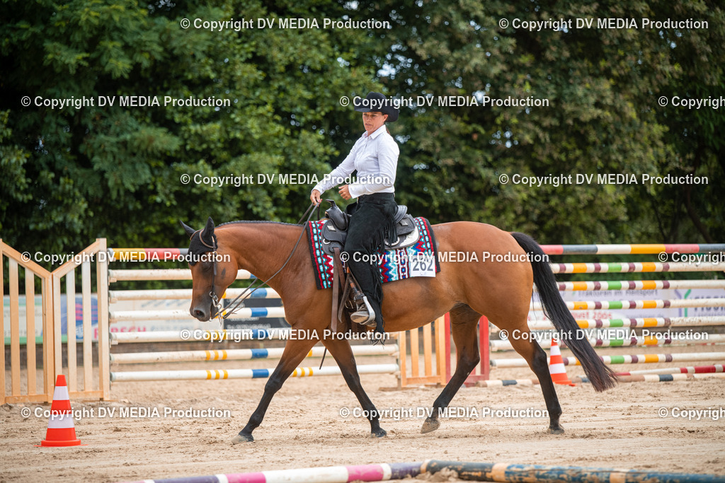 ZS2_8390 | dv-media-shop - Realisiert mit Pictrs.com