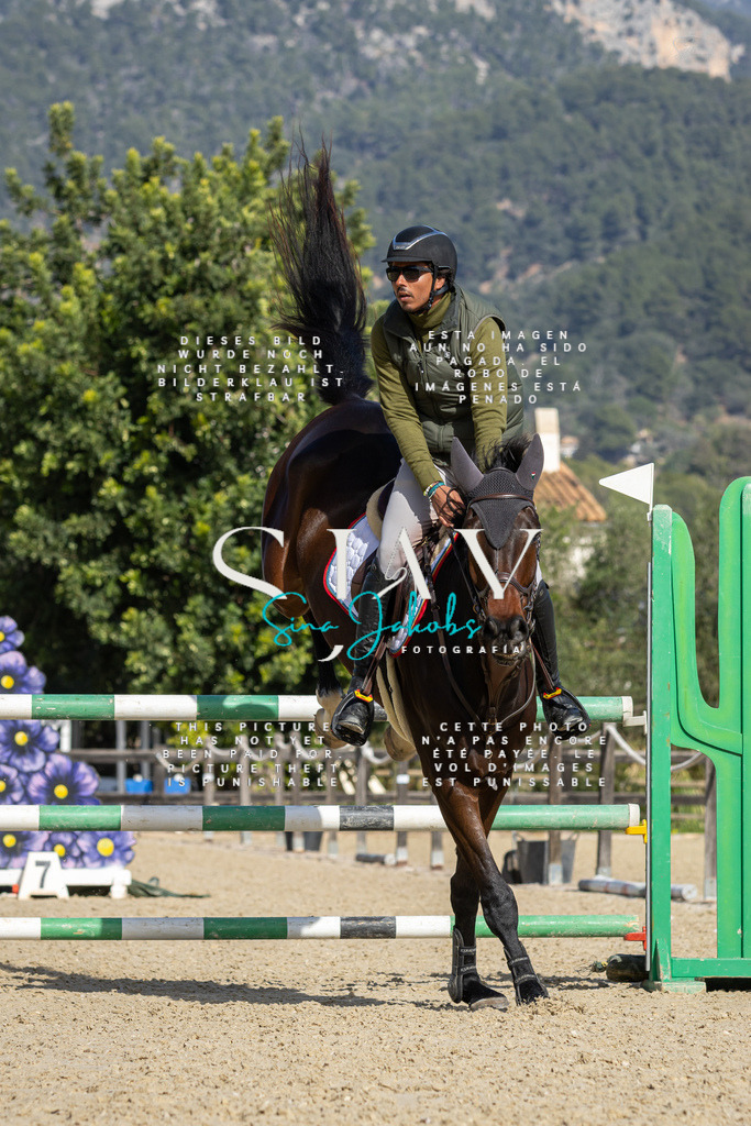 IMG_6653 | s-jay-photography - Realisiert mit Pictrs.com