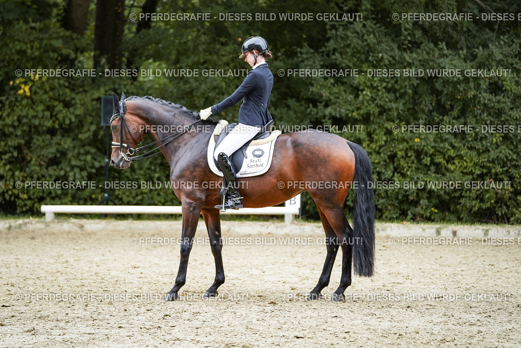 DSC01924 | Pferdegrafie