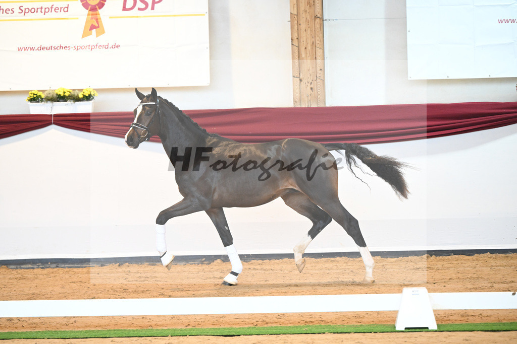 Kat-Nr. 31 v. Ferrantino_Lehner_66221832 | hf-fotografie - Realisiert mit Pictrs.com