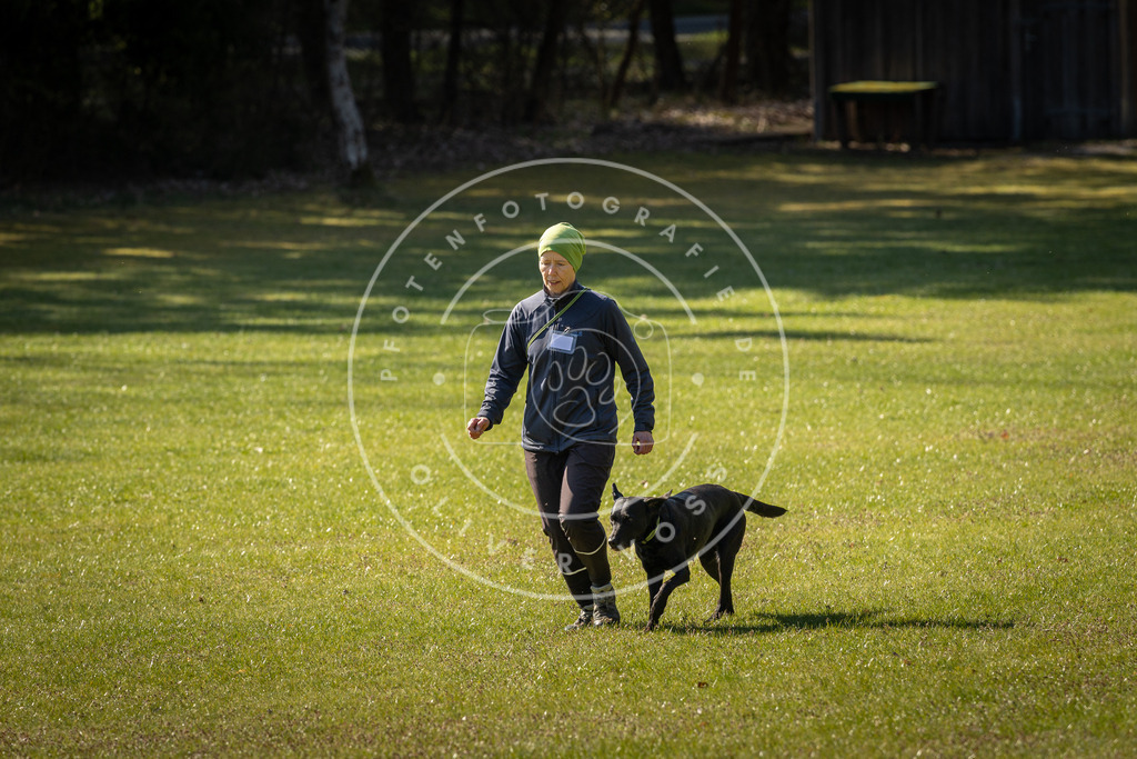 Pfotenfotografie_DV3A0311 | Hundefotografie, Tierfotograf, Pfotenfotografie, Fotoshooting Hund, Hunde Portrait, Hundesport, Hundeportraits, Heideshooting, Hunde, Sportfotograf, Hundefotograf, Turnierhundsport, THS,  - Realisiert mit Pictrs.com
