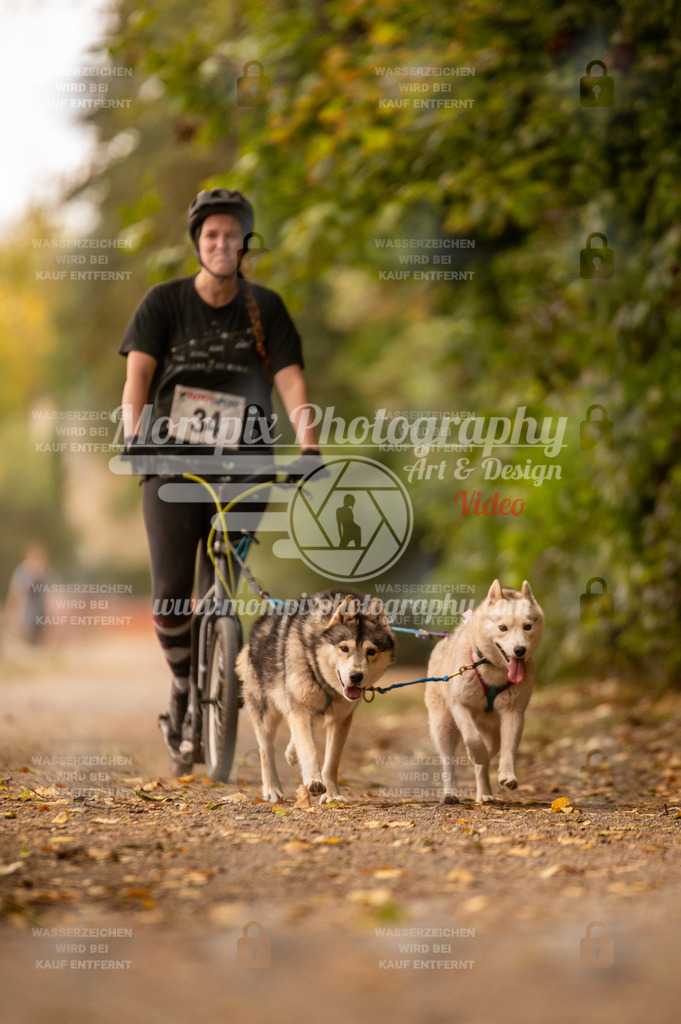 CDLBDB_14_10_2023_Samedi-42 | PayLife