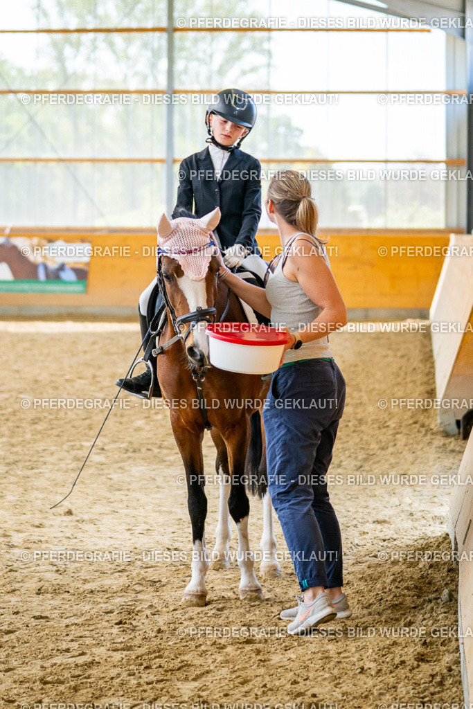 DSC01245 | Pferdegrafie