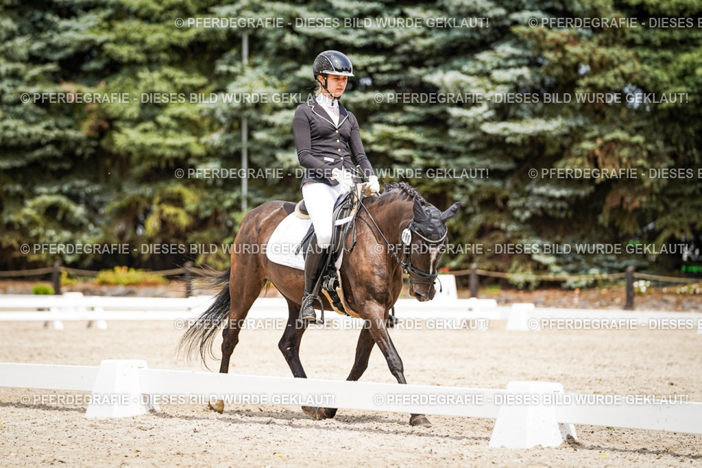 DSC03872 | Pferdegrafie