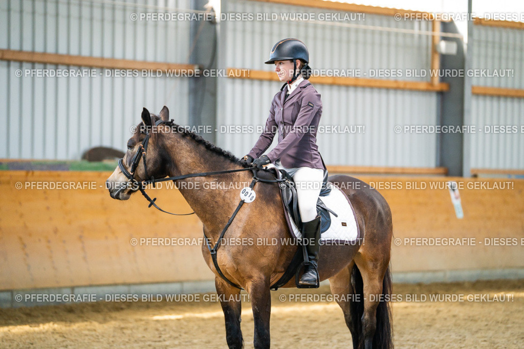 DSC01206 | Pferdegrafie