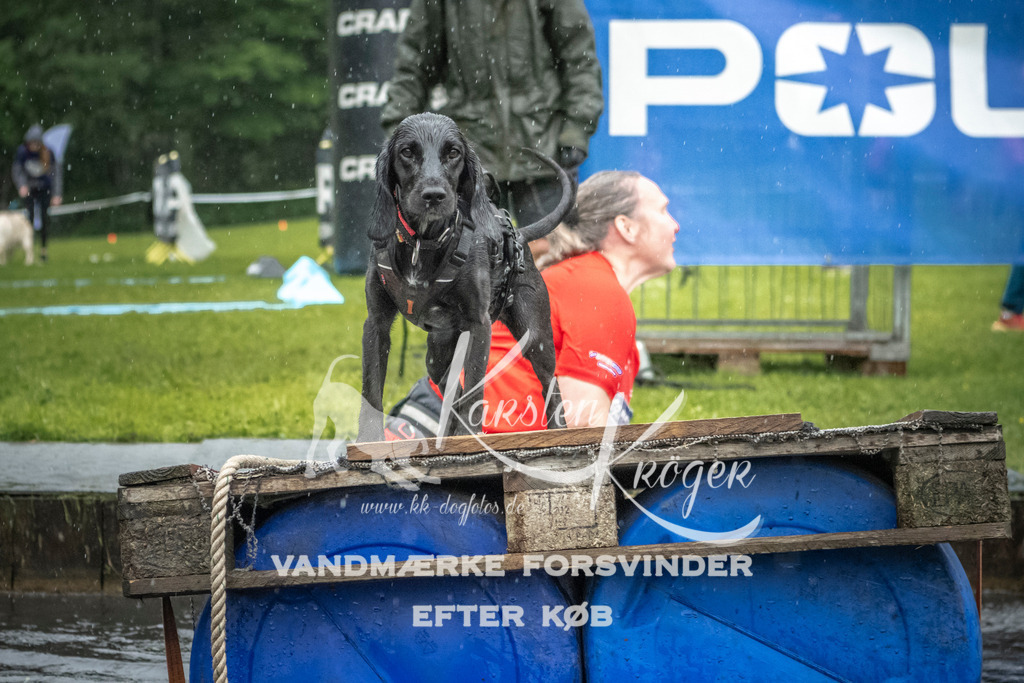 1326_ZZ98397 | kk-dogfotos
