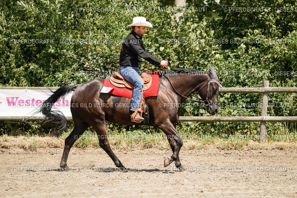 DSC09525 | Pferdegrafie