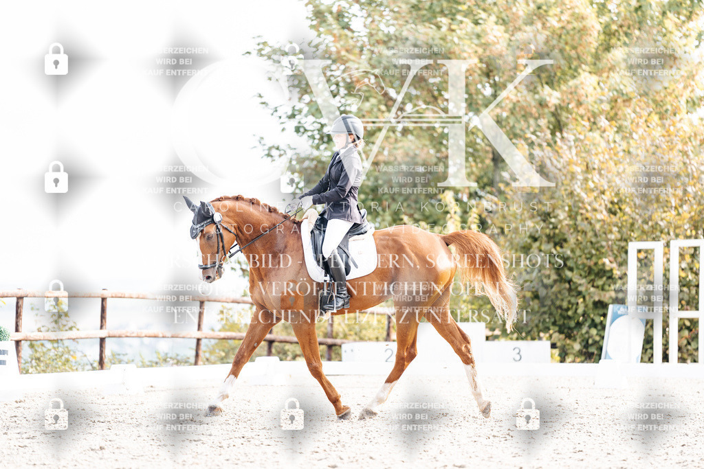 CK901361 | Turnierfotografie Pferdefotografie Trier Rheinland-Pfalz Pferdesport Reitsport Tierfotografie Sportfotografie Pferdevideo Pferdevideografie Equestrianvideography equestrianphotography  - Realisiert mit Pictrs.com