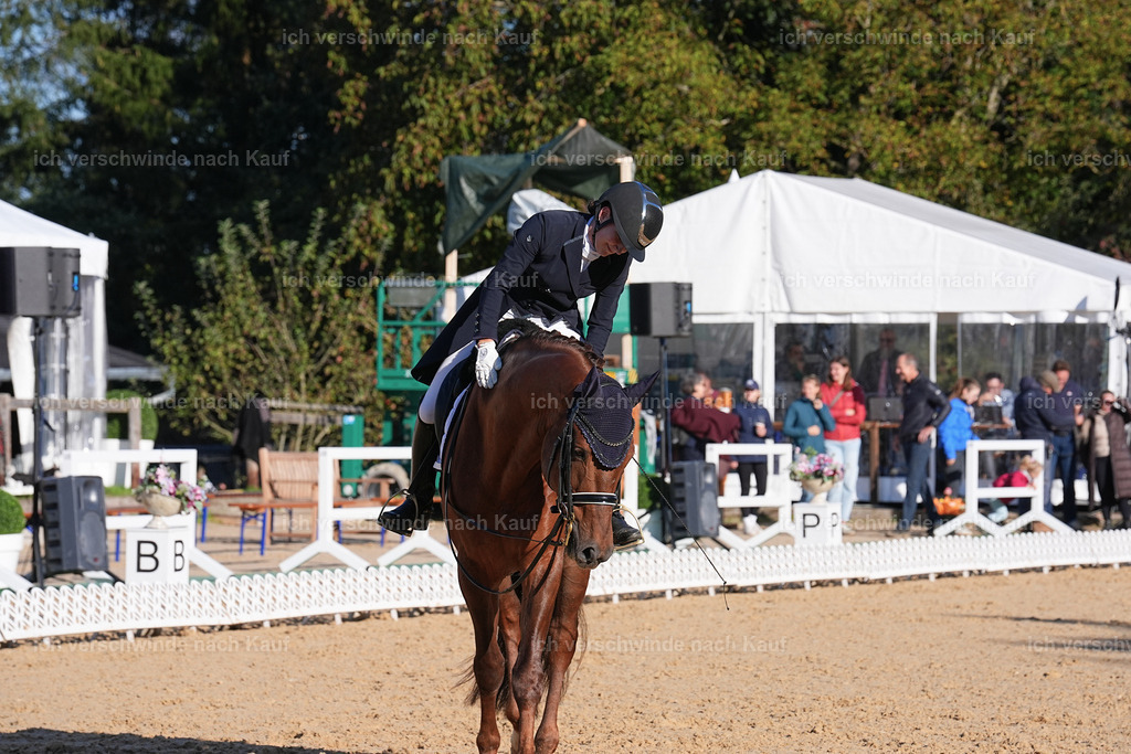 09_1-143-DRESSUR  S_  -Marixx-5670 | working equitationturnier fotograf videograf stoibphotography marixx film working equitation deutschland reitsport turnierfotografie eventfotografie equestrian events
