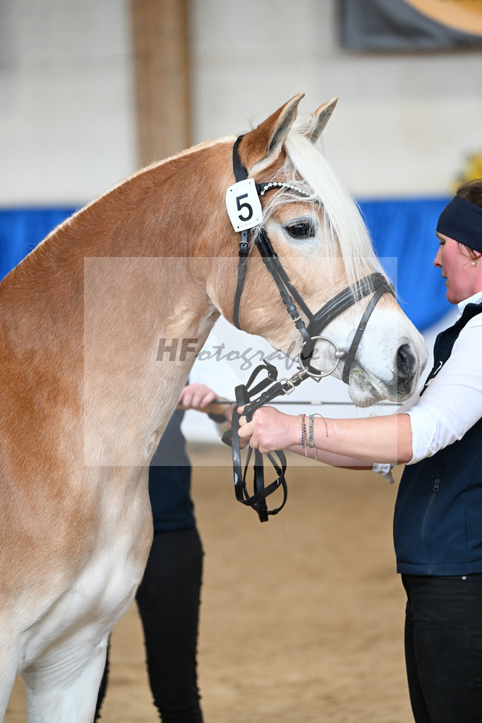 Bl. Band Kat-Nr. 5 Lady Cool v. Wetterstein_Gossner_48251306 | hf-fotografie - Realisiert mit Pictrs.com