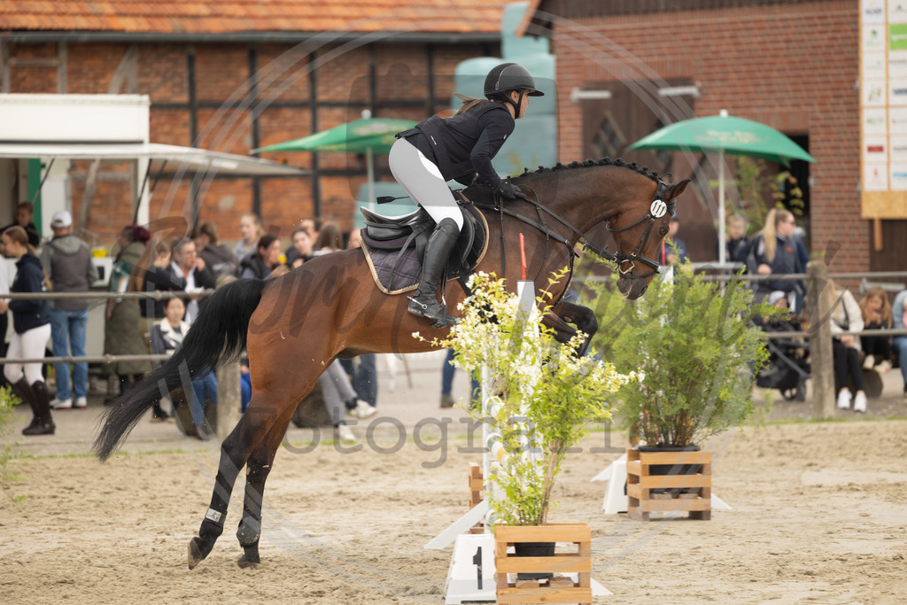 994A9552 | sabrinanicolaifotografie - Realisiert mit Pictrs.com