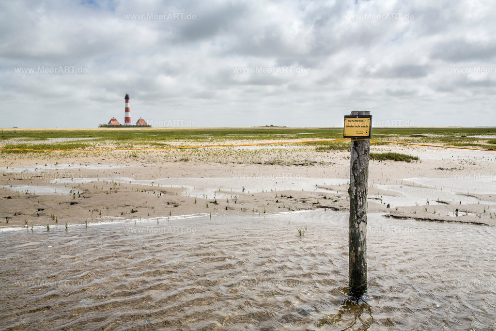 Westerhever | Führung mit Biologen Rainer Schulz von der Schutzstation Wattenmeer - Realisiert mit Pictrs.com