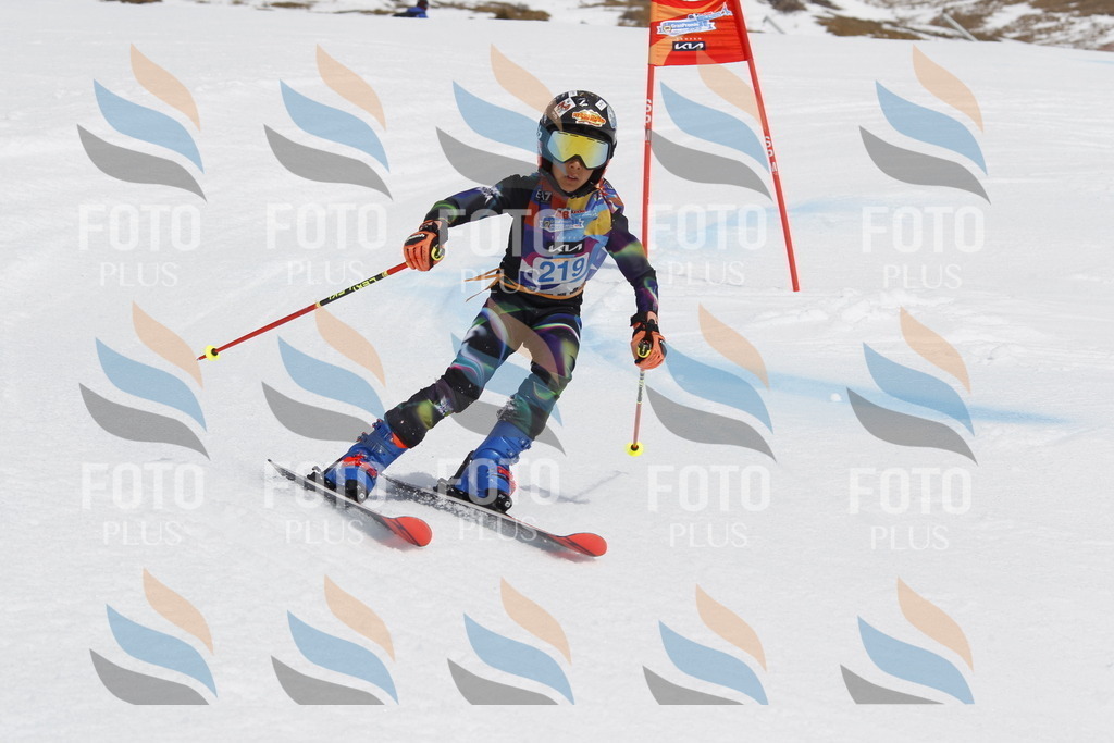 _U3G2357 | holidayphoto