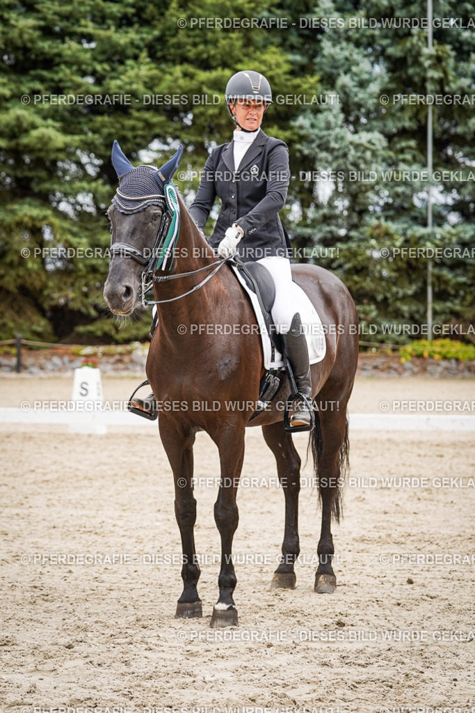 DSC04781 | Pferdegrafie