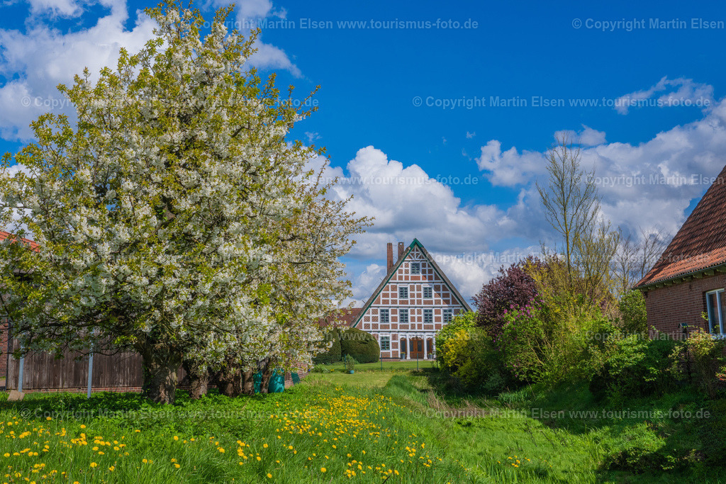 Jork Obst Blüte Fachwerk_ELS_2777170424 | Fotos aus den Touristenorten aus Norddeutschland. - Realisiert mit Pictrs.com