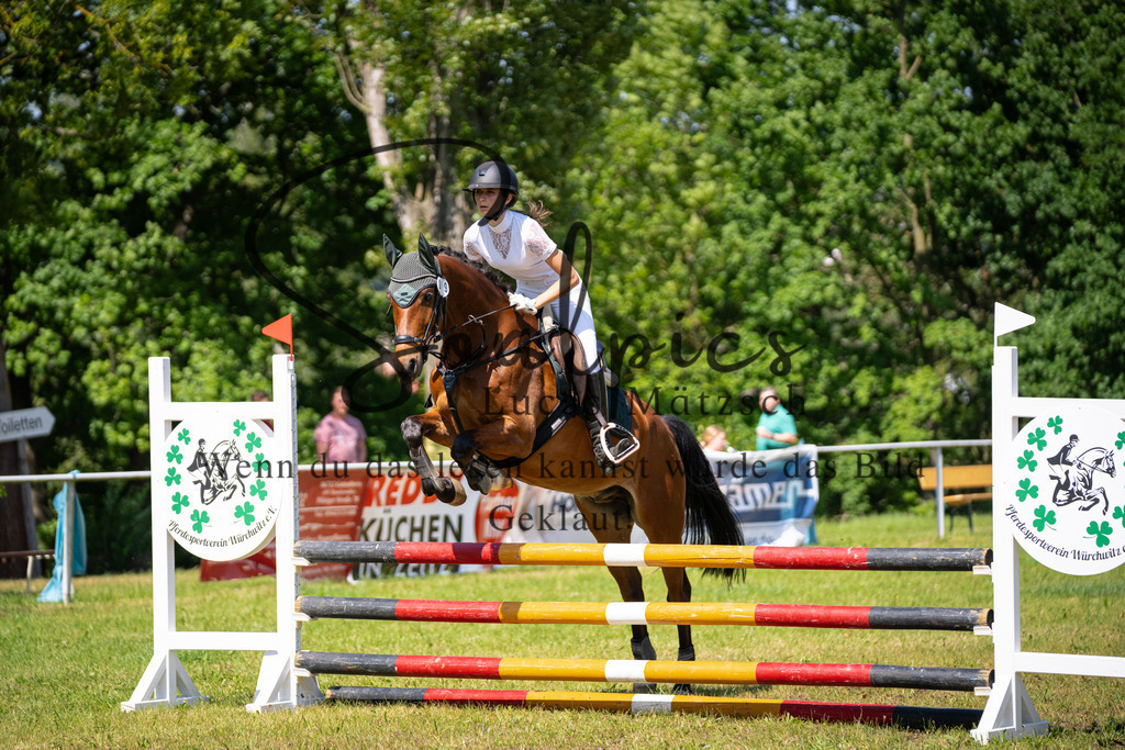 A7V05719 | Pferdefotograf