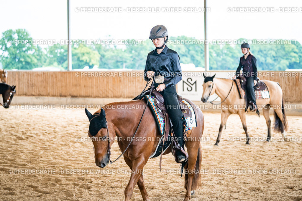 DSC02587 | Pferdegrafie