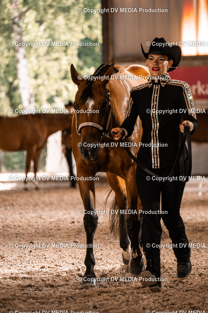 ZH200075 | dv-media-shop - Realisiert mit Pictrs.com