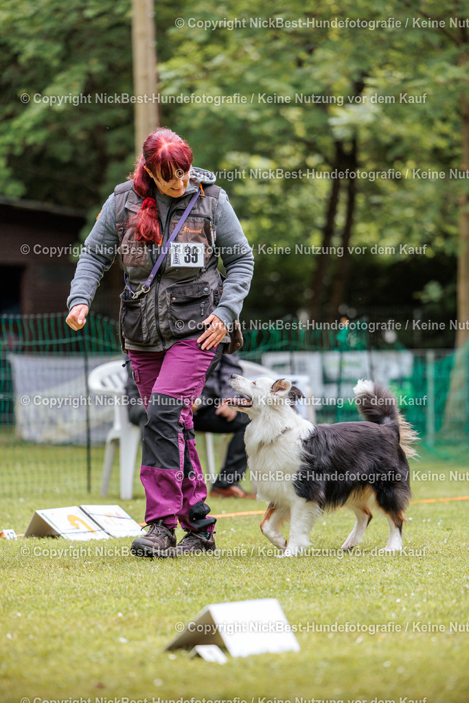 RO-Blumenthal-2026-Nickbest-Hundefotografie-3100 | Dein Hund! Dein Moment! Deine Erinnerungen! Hundefotografie in Bremen Blumenthal. Ich fange die besonderen Momente deines Vierbeiners ein – ob Indoor mit Blitzanlage oder in der freien Natur. Sicher dir dein Moment und dein Termin für eure Erinnerungen.