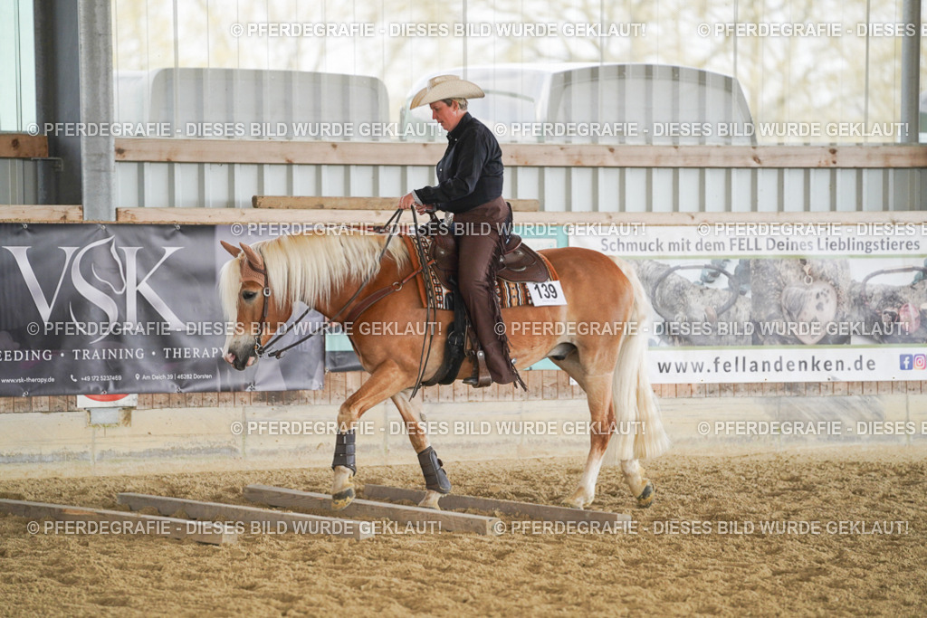 DSC01723 | Pferdegrafie