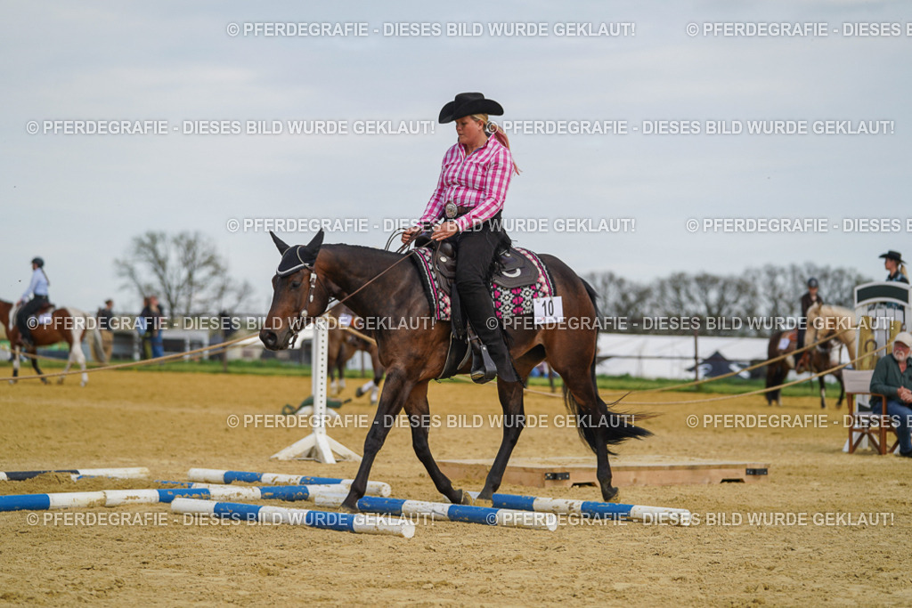 DSC05233 | Pferdegrafie