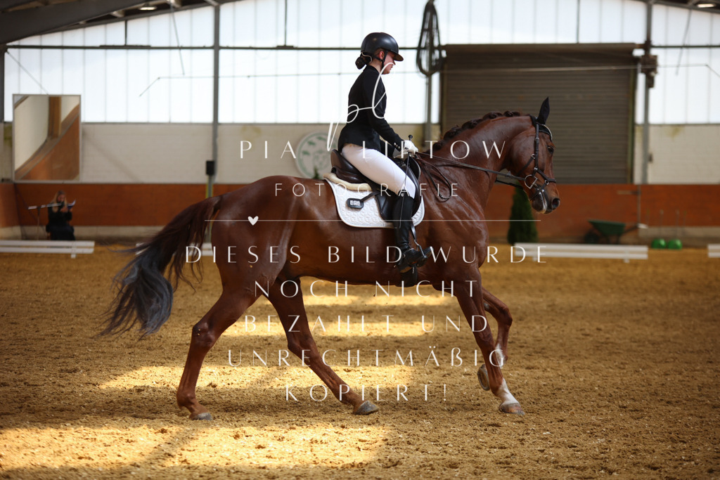 IMGT5062 | pl-fotografie