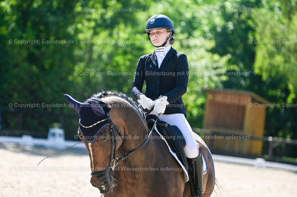 20230908_06_Dressur-L-Trense_0426 | equistock